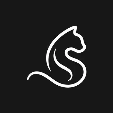 Sylinko Team